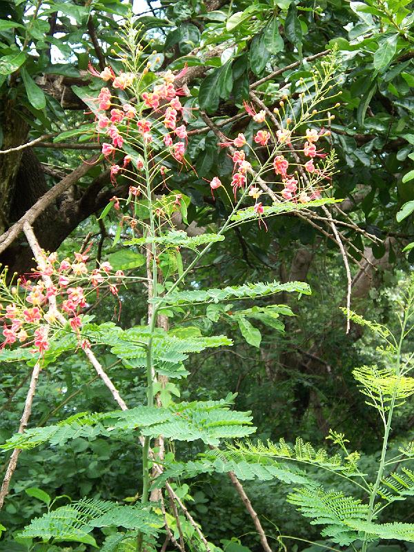 100_2448.jpg