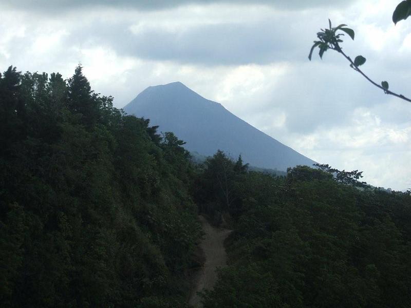 a013.jpg