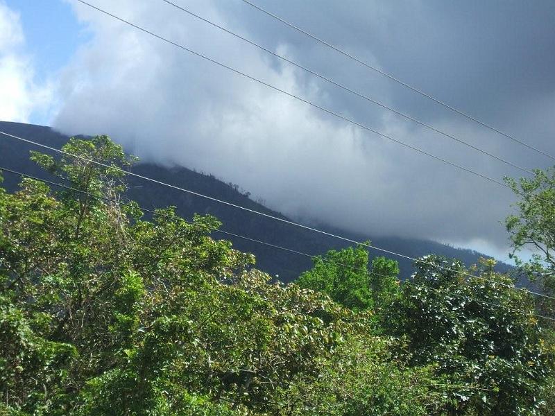 a019.jpg