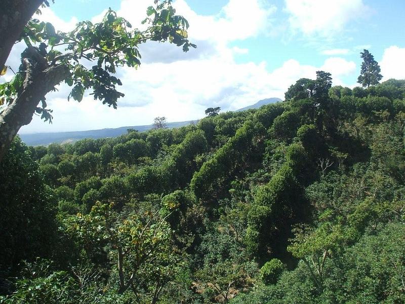 a022.jpg
