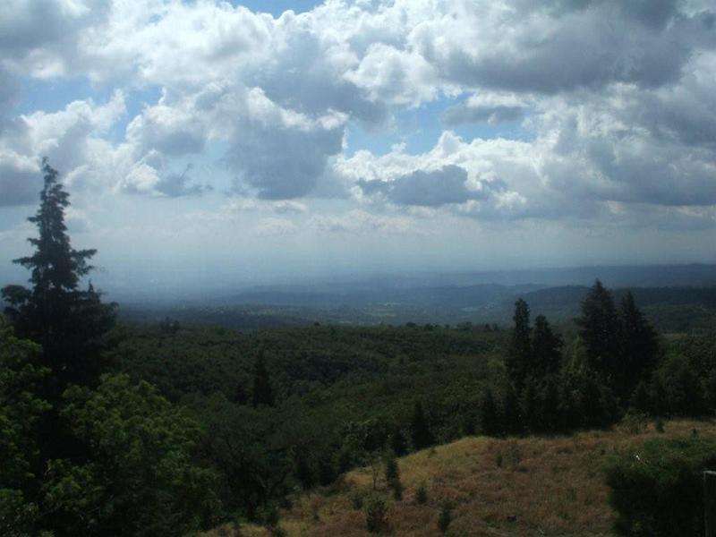 a025.jpg