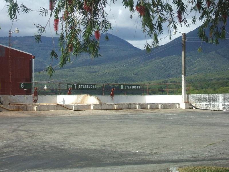 a035.jpg