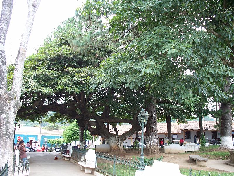 100_2603.jpg