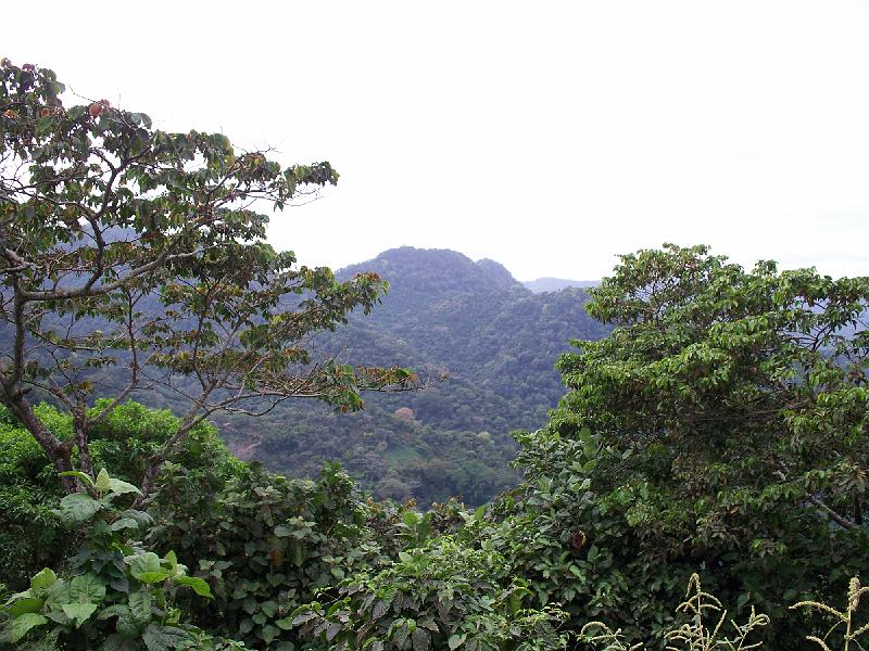 100_2644.jpg