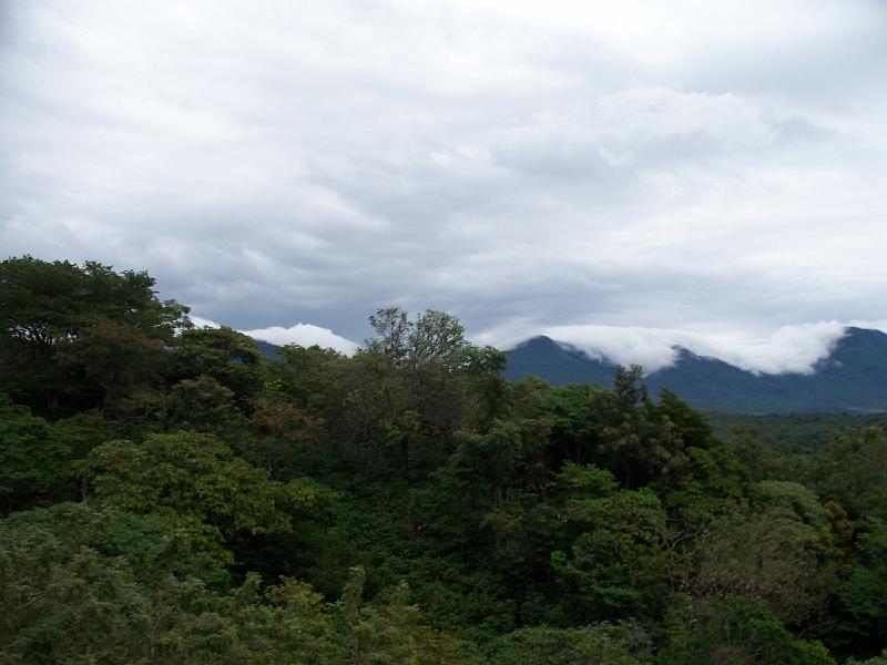 100_2663.jpg