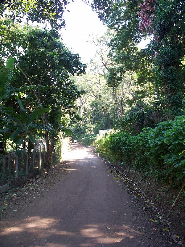100_2798.jpg