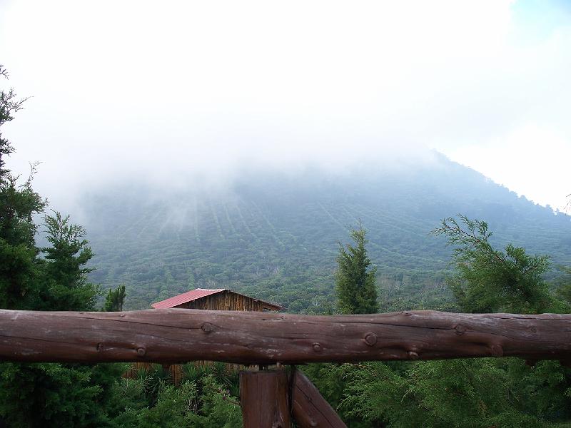 100_2850.jpg
