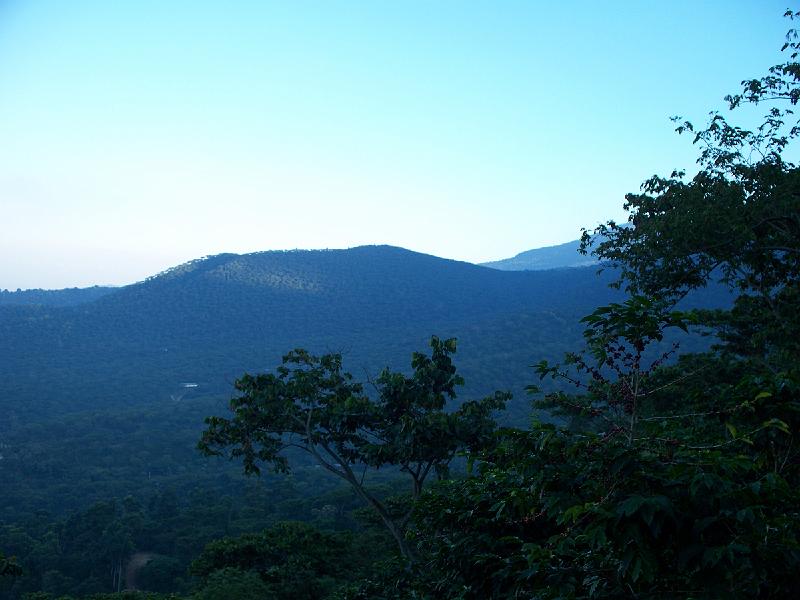 100_2869.jpg