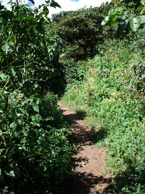 100_2944.jpg