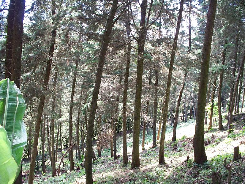 100_2960.jpg