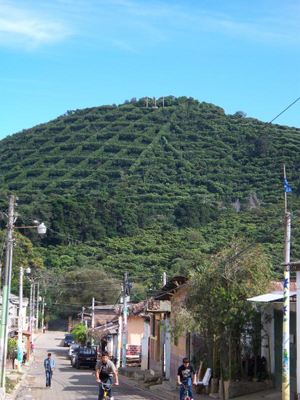 100_2982.jpg