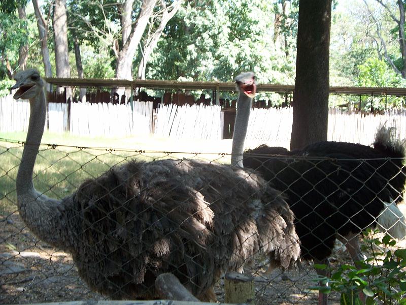 100_3238.jpg