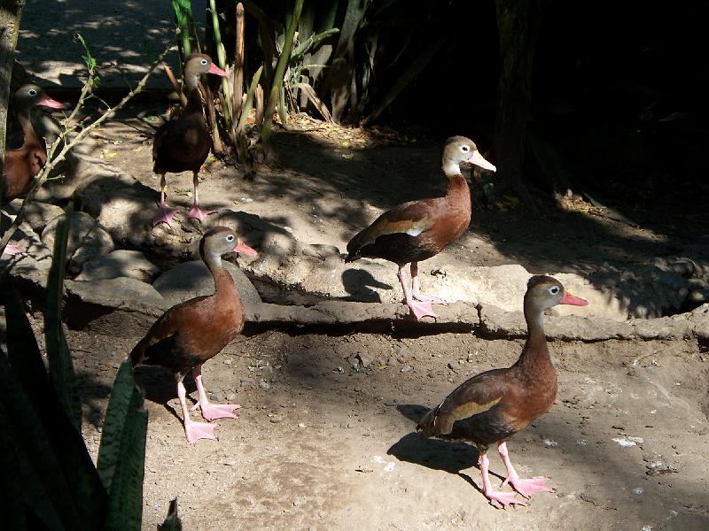 100_3263.jpg