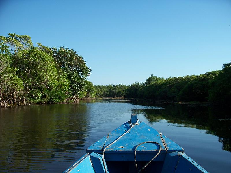 100_3277.jpg - Here, we are in Guatemala on the way to Monterrico.  There are a couple ways to get there but from where we were, the easiest was taking a boat.  This trip in the boat was probably our favorite part of Monterrico to be honest.  Monterrico itself has several hotels but only a couple ones we'd feel comfortable in.  Also, this beauty in the photo is masking a huge mosquito problem -- so be prepared with repellant at night, even on the beach!