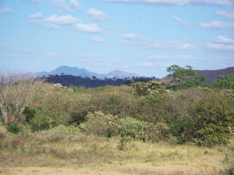 100_1584.jpg