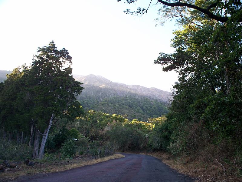100_1639.jpg