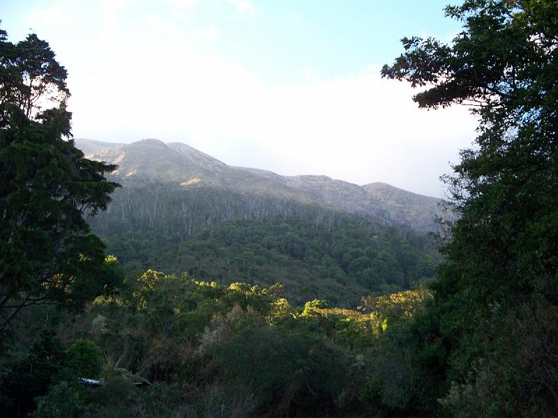 100_1640.jpg