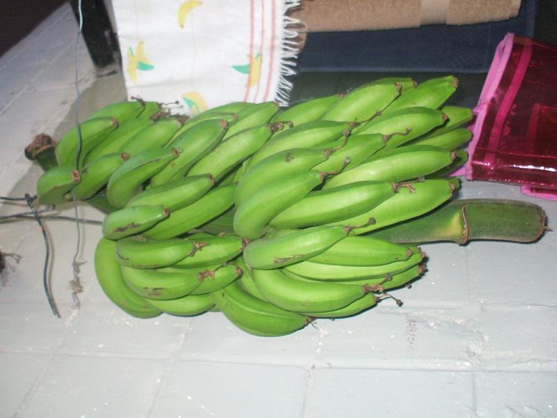 DSCF2154.JPG