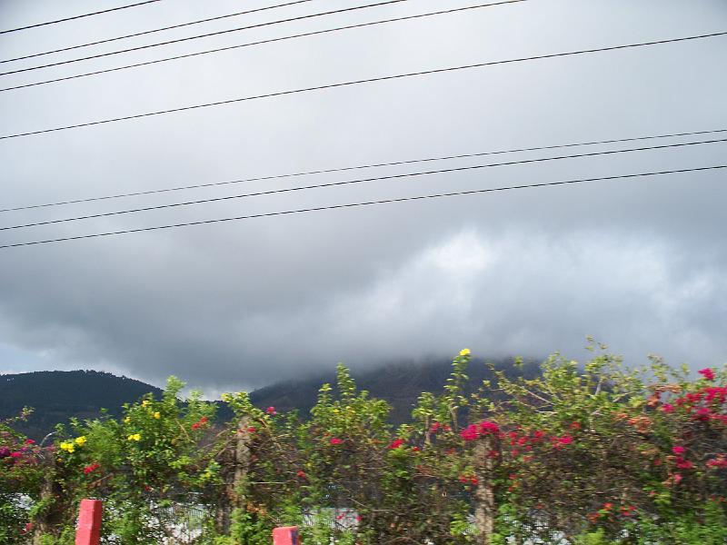 100_1831.jpg