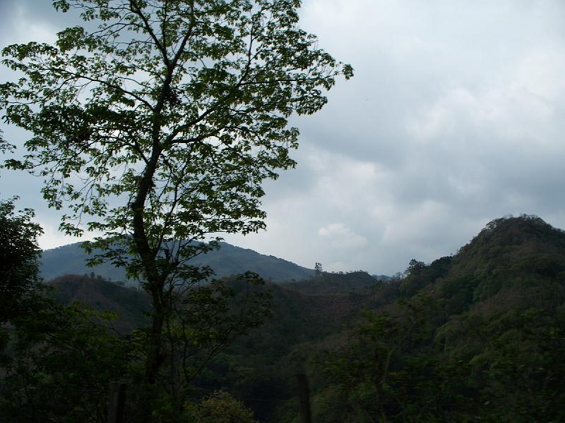 100_1858.jpg