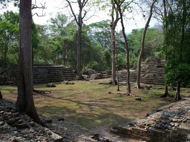 100_1965.jpg