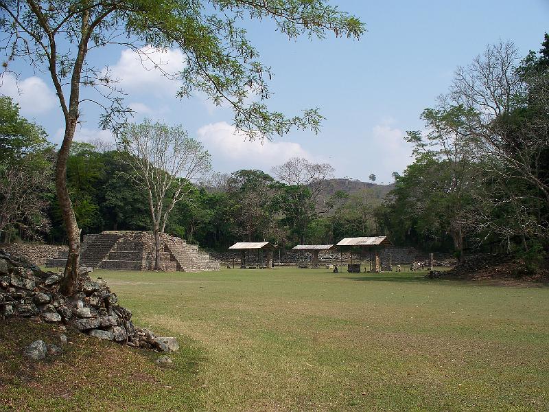 100_1981.jpg