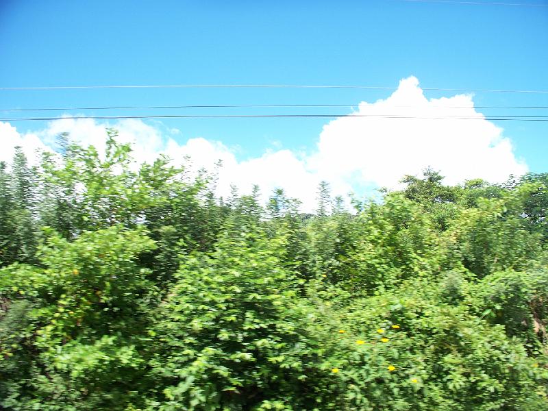 100_1306.jpg