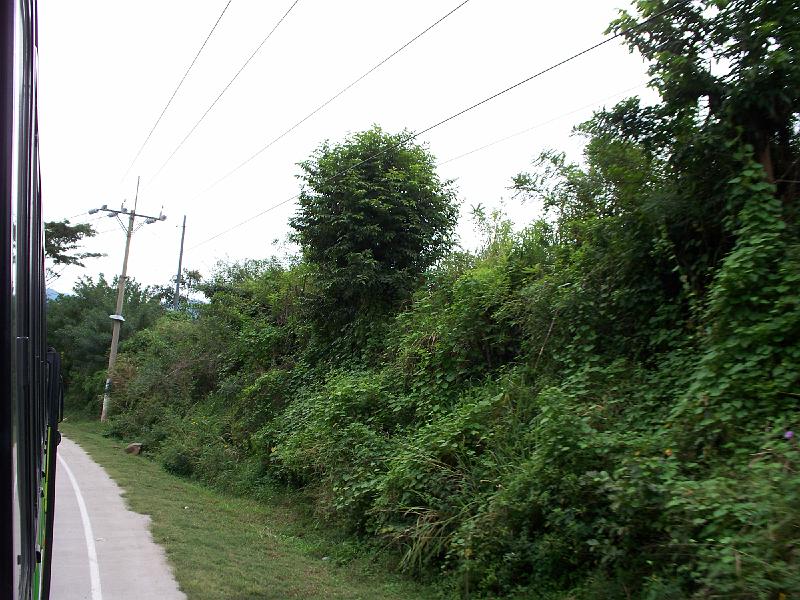 100_1432.jpg