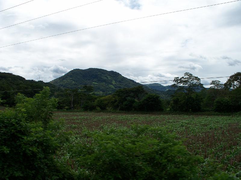 100_1445.jpg