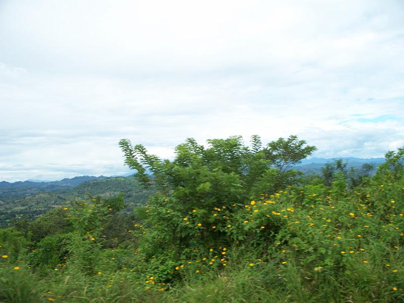 100_1450.jpg
