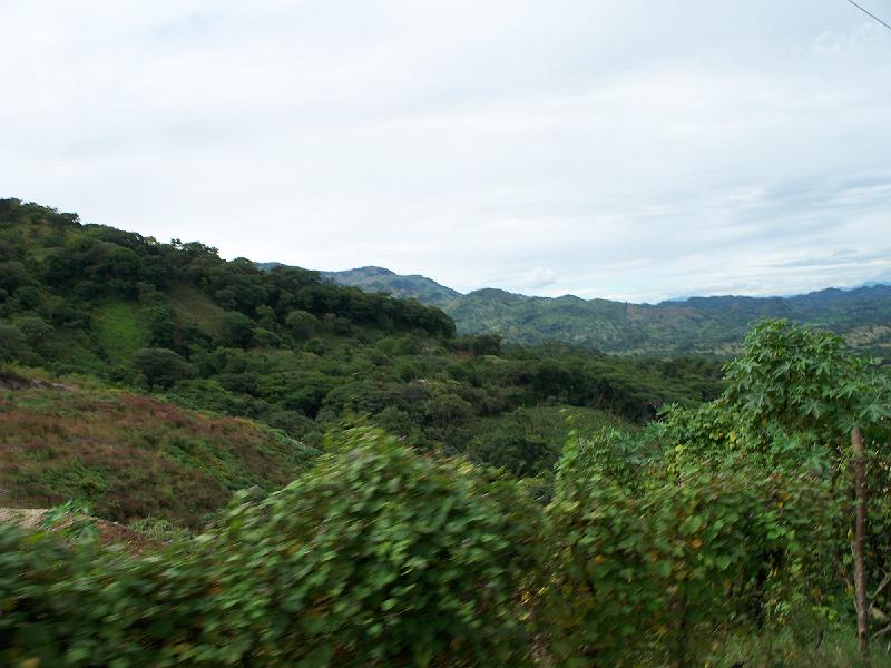 100_1453.jpg