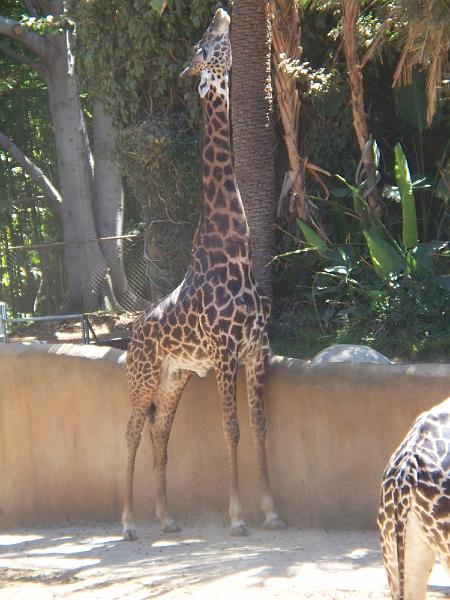 100_1027.jpg