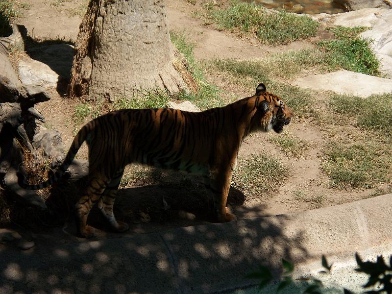 100_1044.jpg