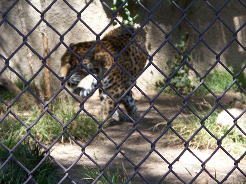 100_1054.jpg