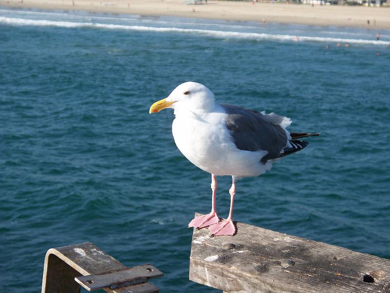 100_1107.jpg